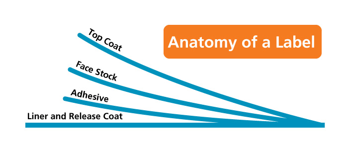 anatomy-of-a-label